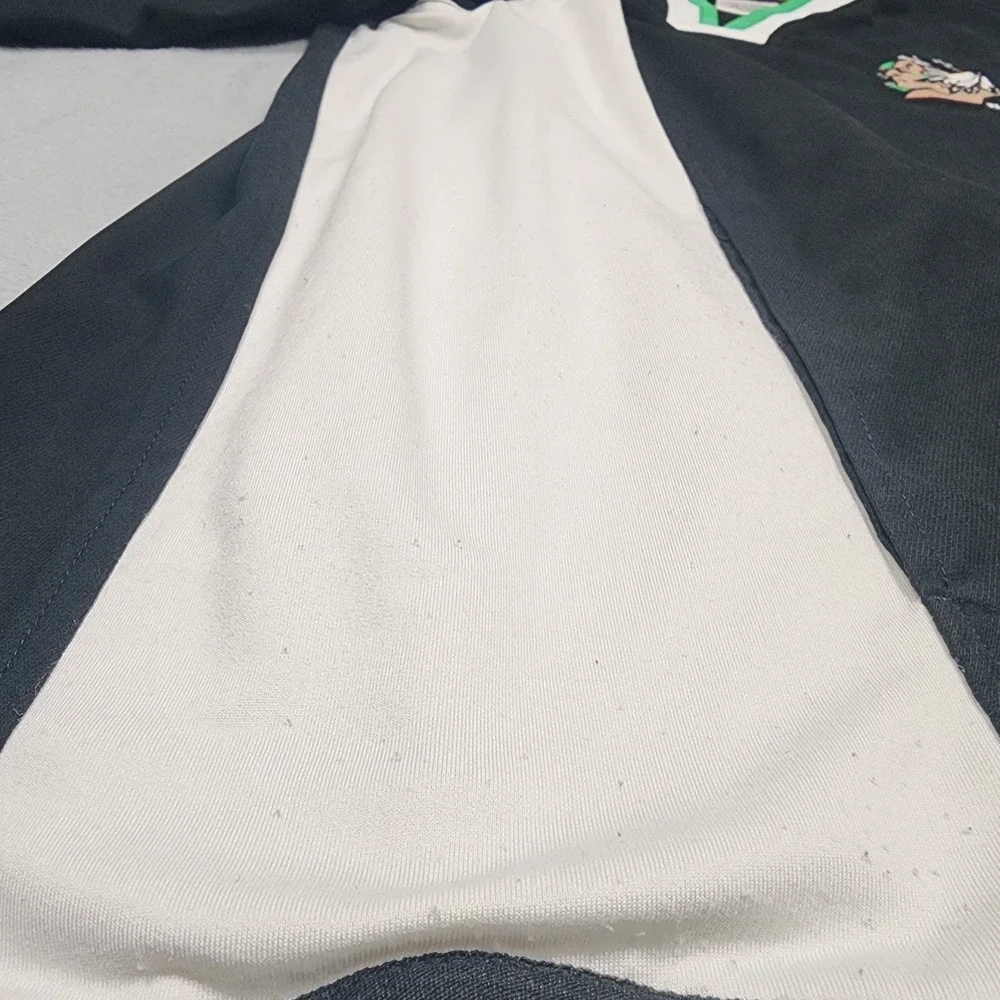 Vintage Nike North Dakota Fighting Sioux Hockey Jacket Mens M Black Pullover